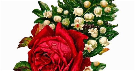 Antique Images Free Digital Flower Red Rose Clip Art With Lily Of The