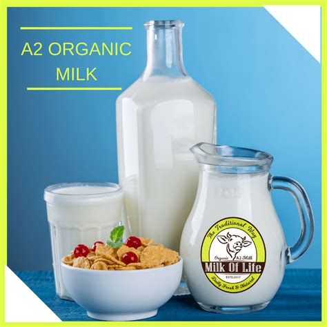 A2 Milk Benefits Learn The Benefits Of A2 Milk Milk Of Life Pure