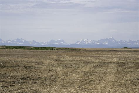Mountains In The Distance Across The Field In Alberta Image Free