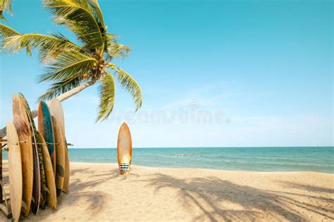 Surfboard And Palm Tree On Beach Stock Photo Image Of Ocean Shore