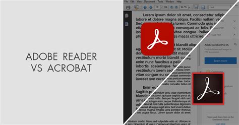 Adobe Reader Vs Adobe Acrobat Reader Which Software Is Better