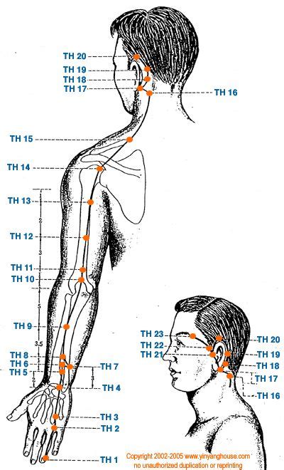 It is located between the liver and the duodenum and connected to them by the biliary tract. 78+ images about Acupuncture points & Meridians on Pinterest | Natural healing, Acupuncture ...