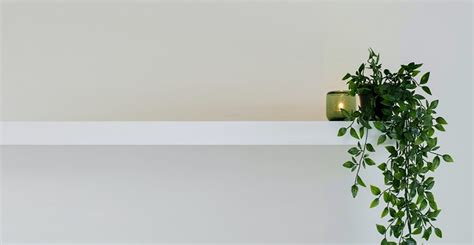 Plain Zoom Background With Plant