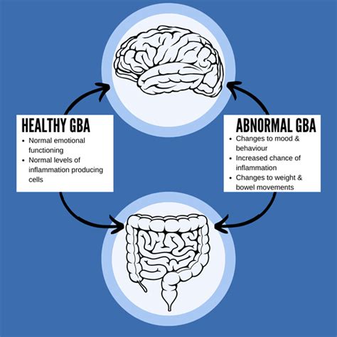 Mental Health And The Gut Brain Axis Encounter Youth