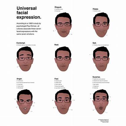 Expressions Facial Universal Psychology Language Face Reading