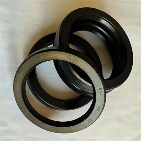 Nitrile Rubber Rotary Shaft Seal Double Lip Oil Seal Dc Type China