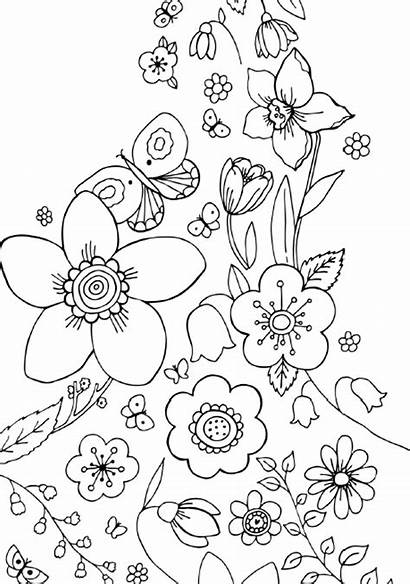 Coloring Pages Flowers