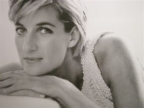 All In The Life Of Me Budgie And Friends Princess Diana An Icon And
