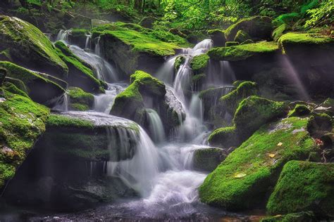 Natural Summer Landscape Summer Background Hd