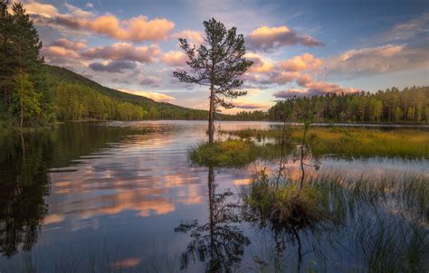 Wallpaper Forest The Sky Sunset Nature Lake Reflection Norway