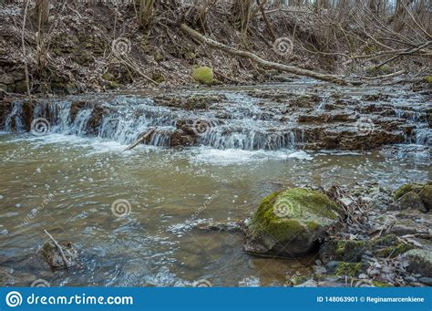 Cascades On A Clear Creek In A Forest Stock Image Image Of Cascade