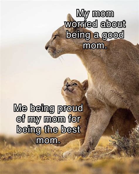 Moms Are The Best R Wholesomememes