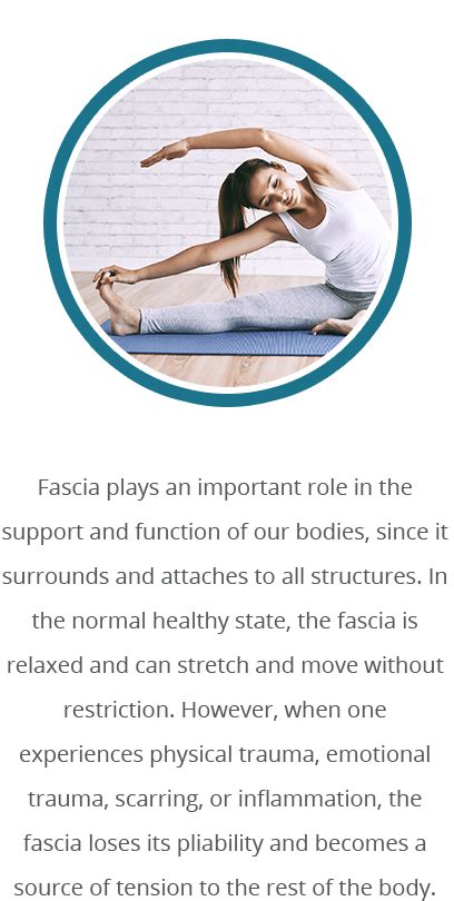 What Is Fascia — Meta Physical Therapy