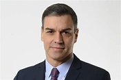 Dyntra - La Transparencia de Pedro Sánchez Pérez-Castejón - Presidente ...