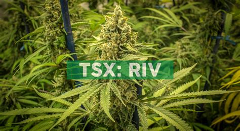 Company profile for canopy growth corp. Canopy Rivers Portfolio Companies Look to Expand Retail ...
