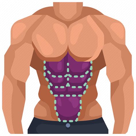 Abs Anatomy Light Muscle Muscles Waist Wellness Icon Download