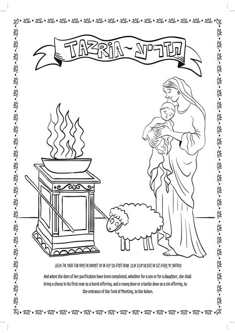 Tazria Parsha Coloring Page Coloring Book Pages For Adults Etsy
