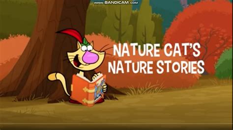 Nature Cats Nature Stories Nature Cat Wikia Fandom