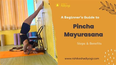 A Beginners Guide To Pincha Mayurasana Steps And Benefits Rishikesh
