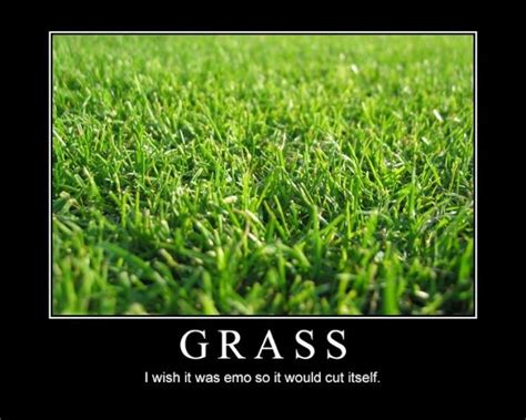 Funny Grass Quotes Shortquotescc