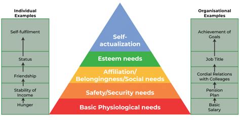 Maslows Hierarchy Of Needs Theory Geeksforgeeks