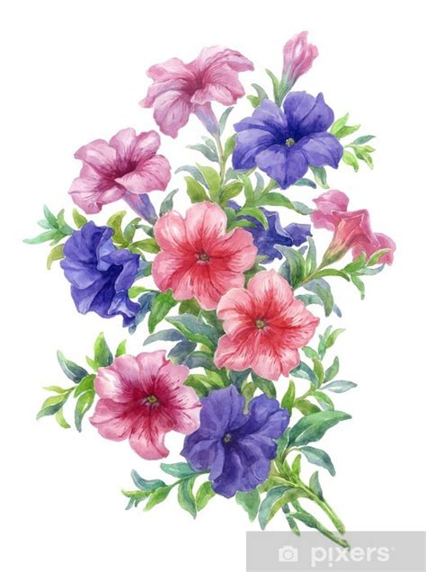 Blumen und blumensträuße gibt es in verschiedenen formen und auch mit einem blumenstrauß kann man daher stets viele verschiedene geschmäcker bedienen. Blumenstrauß Weißer Hintergrund / Hintergrundbilder ...