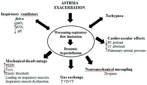 Figure 2 From Pathophysiology And Clinical Evaluation Of Acute Heart