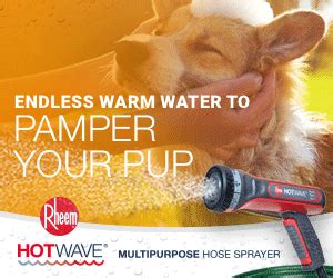 Visit Rheem Hotwave Multipurpose Hose Sprayer In Orlando Canine