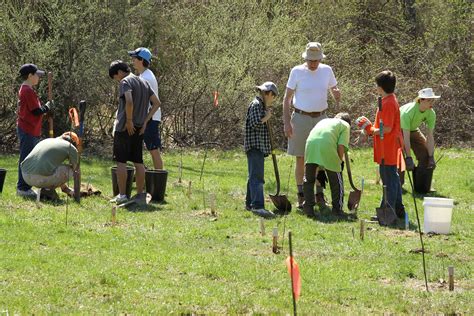 Photo Gallery Eagle Scout Project Tree Planting Basking Ridge Nj Patch