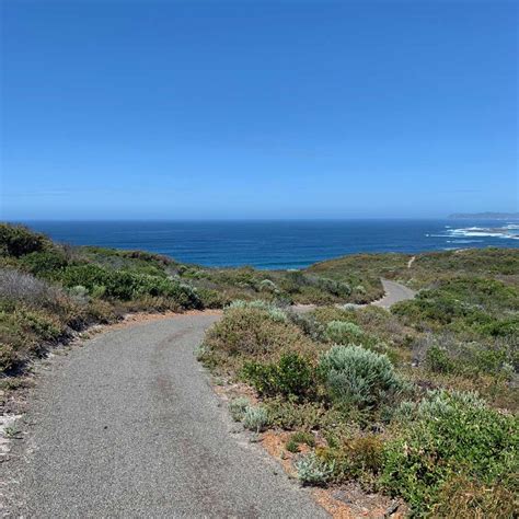 On The Bibbulmun Track In Denmark Wa