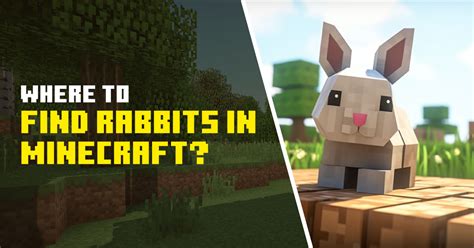 Where To Find Rabbits In Minecraft A Guide To Bunny Bonanzas