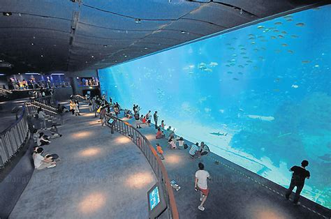 Marine Life Park Opens In Singapore With The Worlds Largest Aquarium