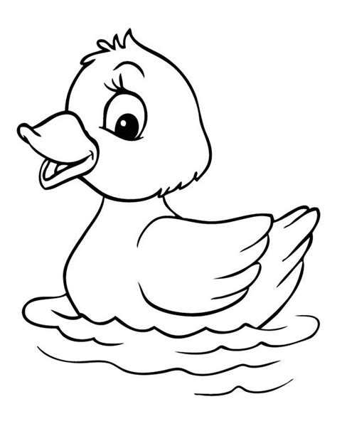 A Baby Duck Colouring Pages Page 2 Clipart Best Best Coloring Pages