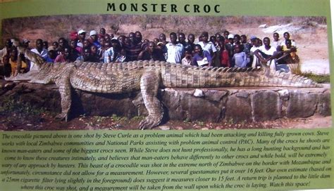 The Biggest Croc Ever Found At 86m 28ft