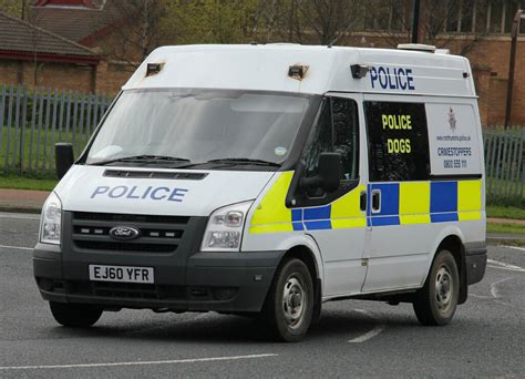 And remember, if you can't find the breed you're looking for on this page, consider browsing our puppies for sale or dogs for sale pages. Northumbria Police Ford Transit Dog Van | One of the Ford ...