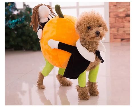 New Funny Pumpkin Dog Costumes Halloween Novel Pumpkin Pet Coat Fleece