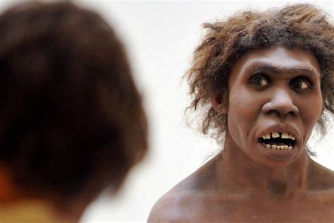 Neanderthal Dental Formula