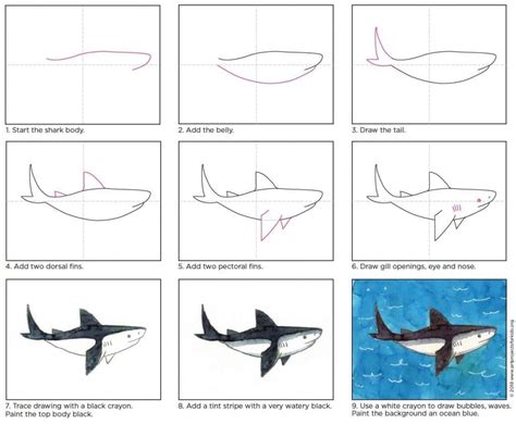 Easy How To Draw A Shark Tutorial Video And Shark Coloring Page Riset