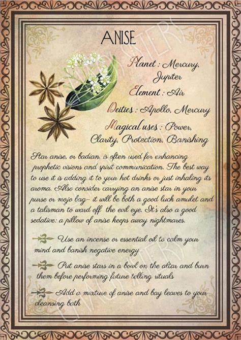 Printable Herbs Book Of Shadows Pages Set 3 Herbs And Plants