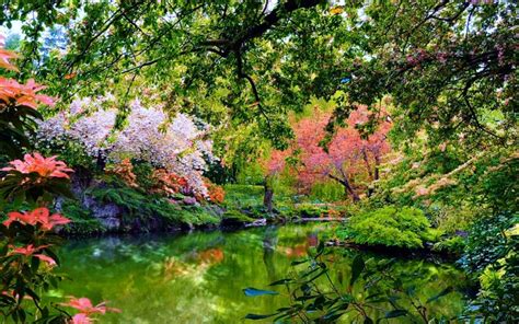 Beautiful Garden Nature Wallpaperhd Nature Wallpapers4k Wallpapers