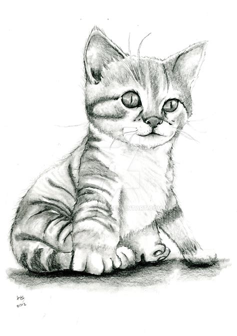 Kitten By Spritz3r On Deviantart