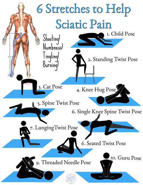 Exercises For Sciatica Printable Customize And Print