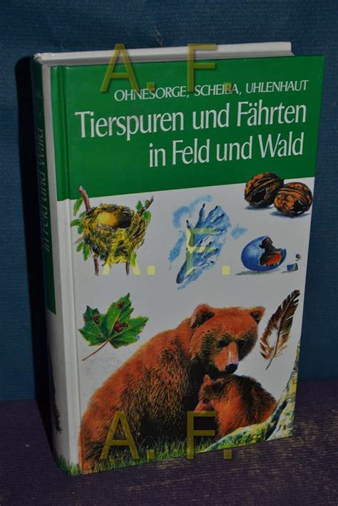Did you scroll all this way to get facts about tierspuren? Tierspuren Gratis : Aardvark : Spuren im schnee eindeutig ...