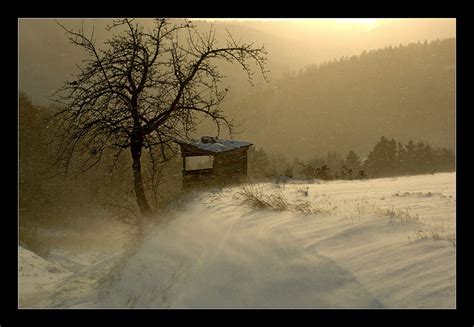 Schneegestöber Foto And Bild Jahreszeiten Winter Natur Bilder Auf