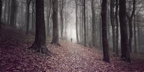 Fotos Captan A Perturbador Hombre Desnudo En El Bosque Publinews