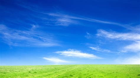 Blue Sky And Green Grass Wallpapers Hd Wallpapers Id 10526