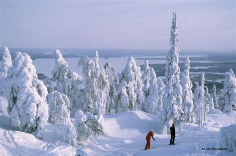 Nationalpark Iso Syöte Ski Alpine In Finnland