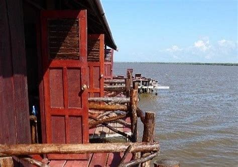 Waterproof Tours Suriname Paramaribo Tutto Quello Che Cè Da Sapere