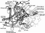 Vacuum Hose Diagram 22re