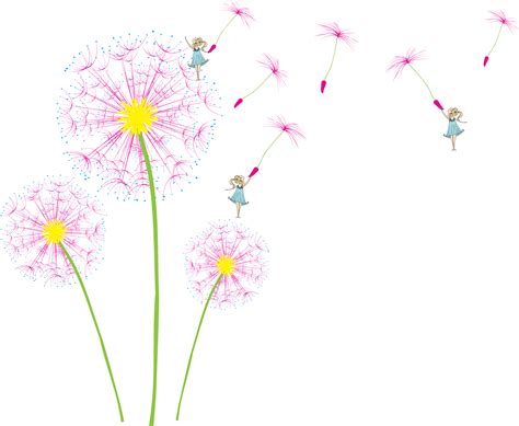 Dandelion clipart pink dandelion, Dandelion pink dandelion Transparent FREE for download on ...